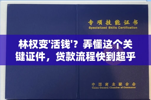 全国林权变'活钱'?弄懂这个关键证件,贷款流程快到超乎想象!